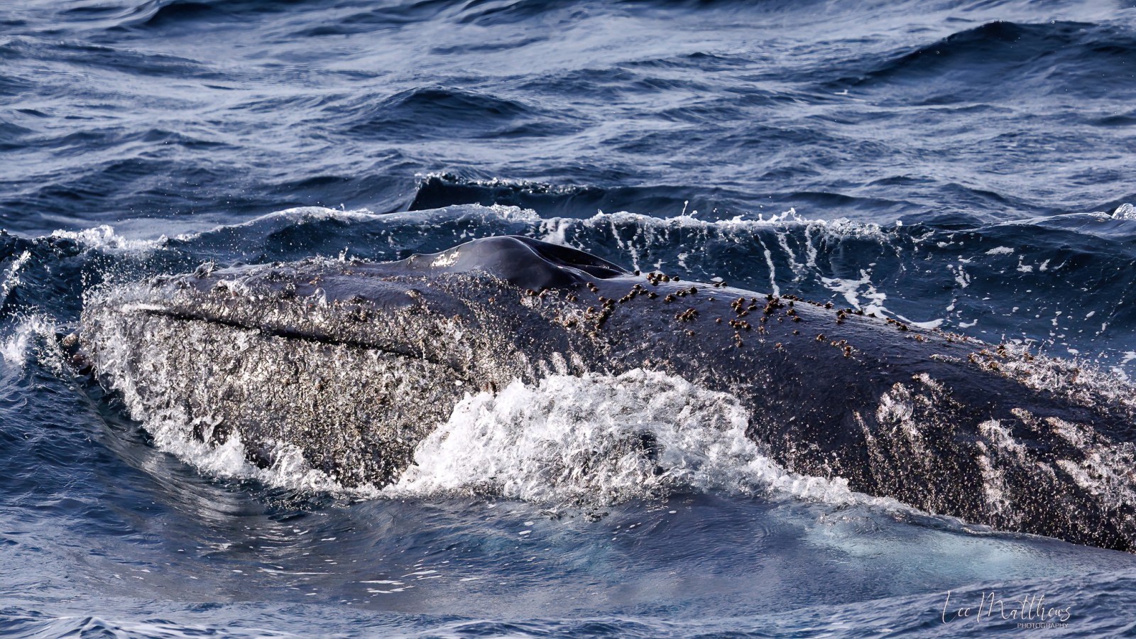 a man riding a wave on a surfboard in the water