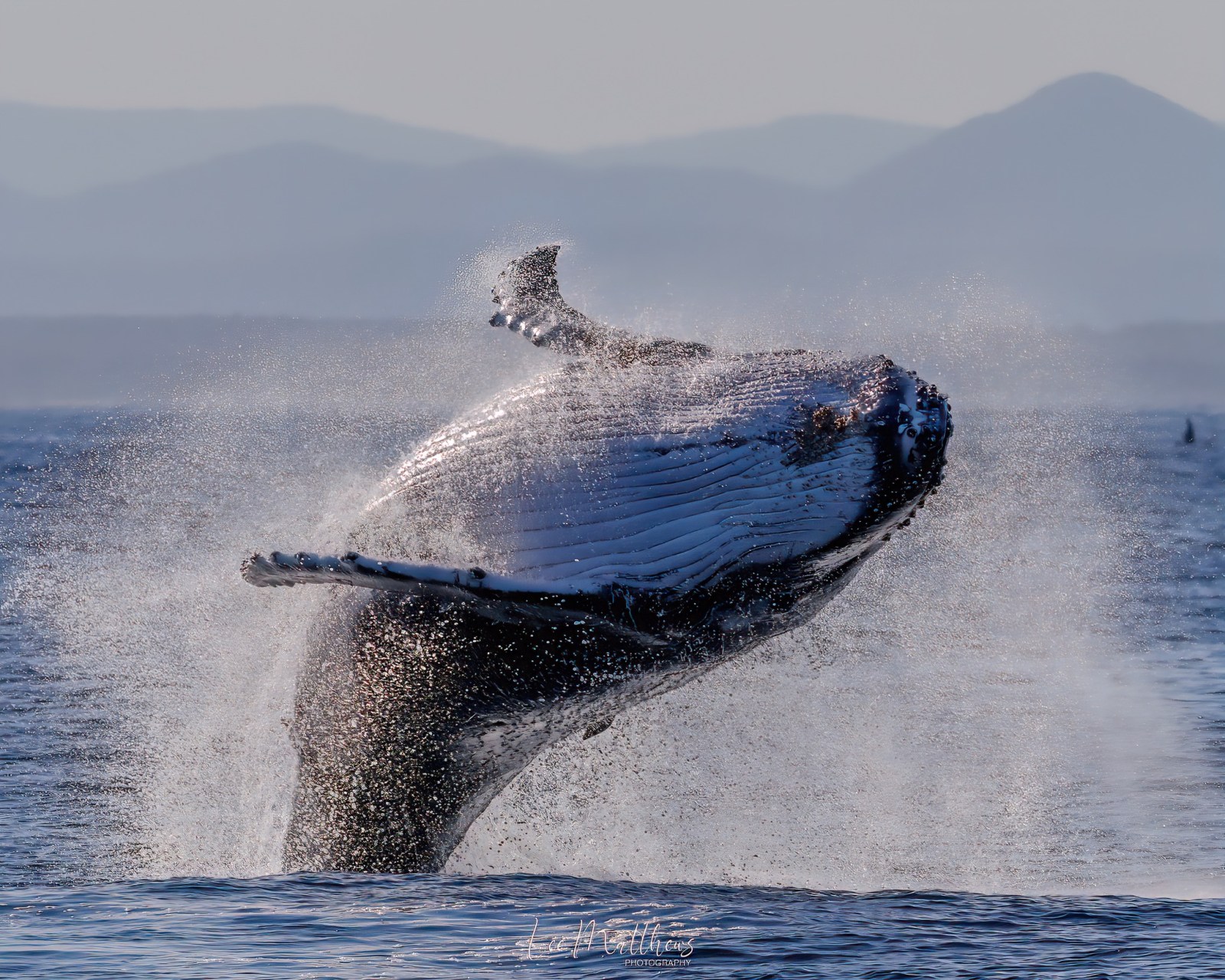 a man flying through the air while riding a wave in the ocean