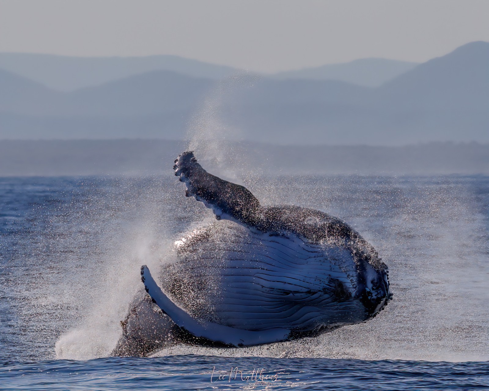a body of water with a mountain in the ocean
