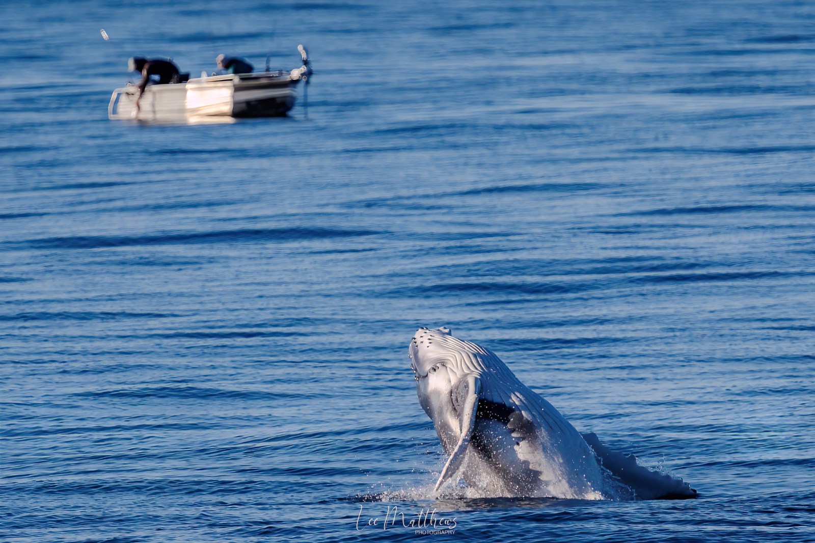 a small boat in a body of water