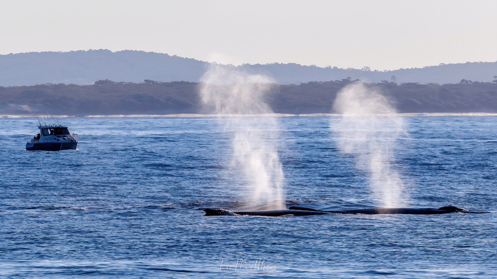 a small boat in a body of water with a mountain in the background
