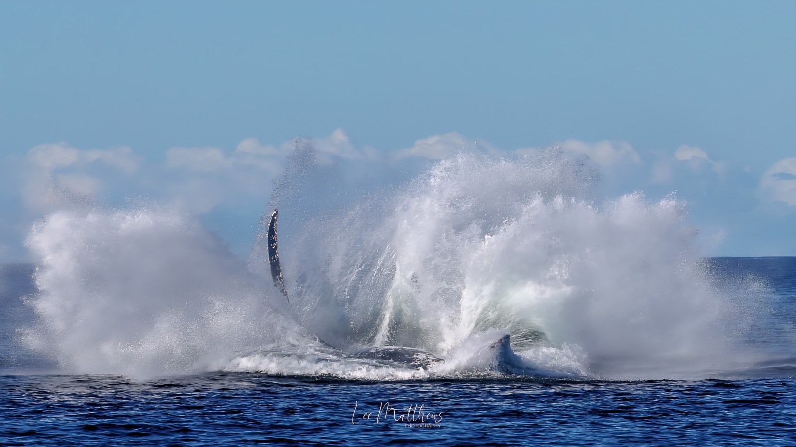 a man riding a wave on a surfboard in the water