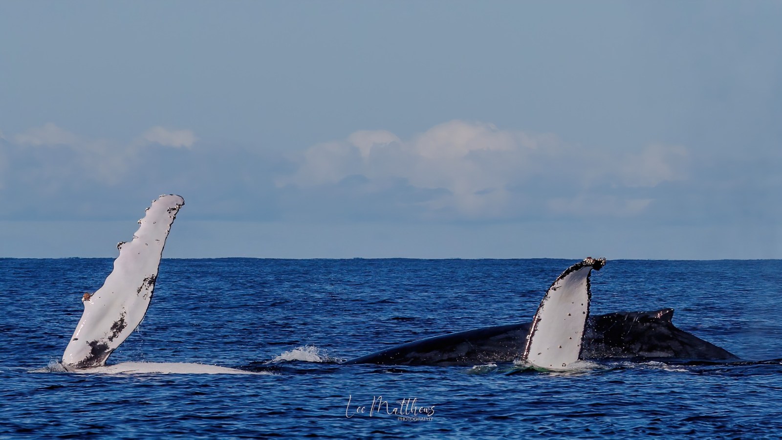 a small boat in a body of water