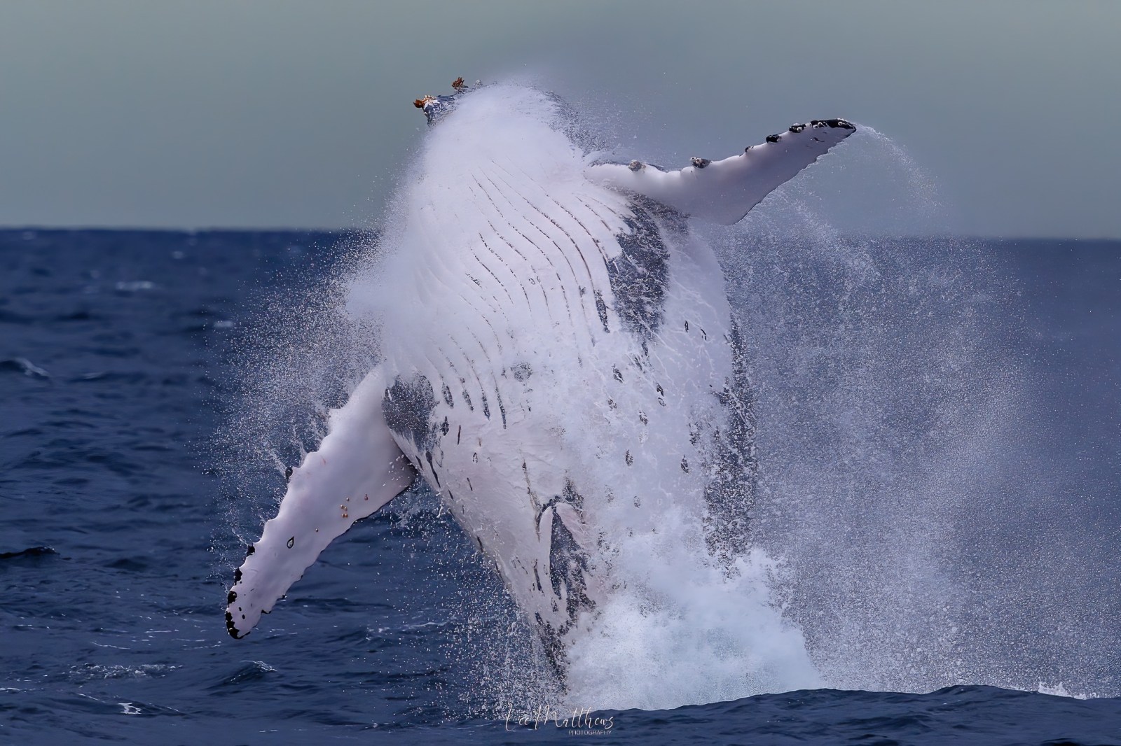 a man flying through the air while riding a wave in the ocean
