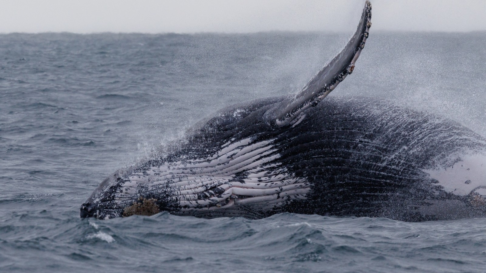 a man riding a wave on top of a body of water