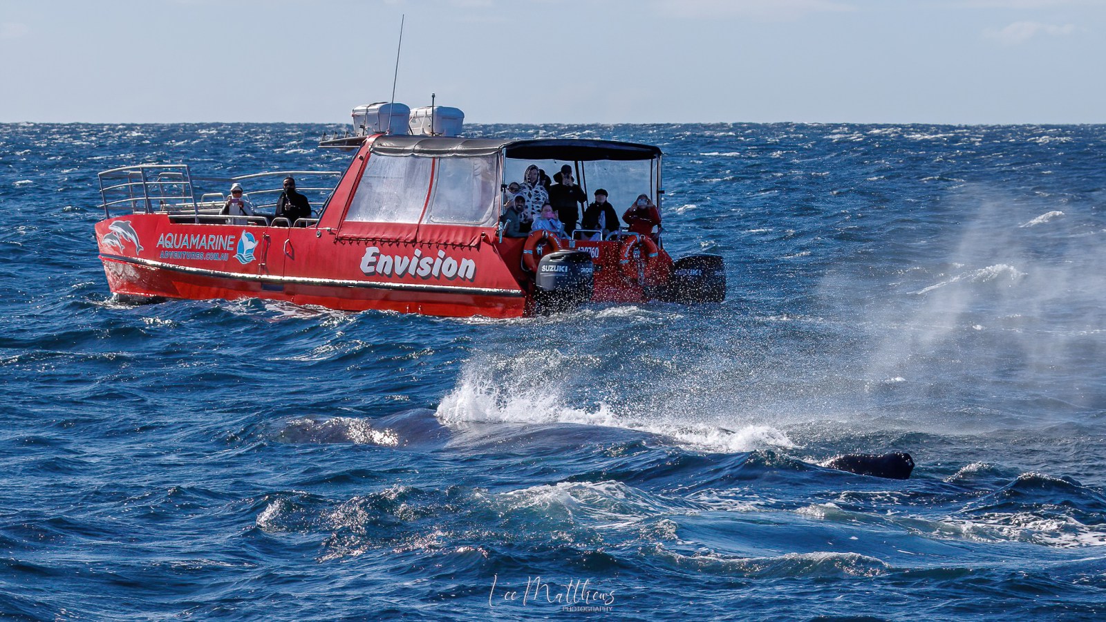 Whale Watching Moonshadow TQC Cruises Port Stephens Lee Matthews
