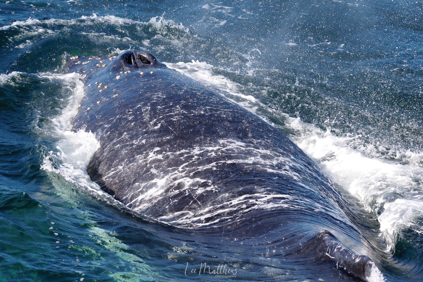 a man riding a wave on a surfboard in the water