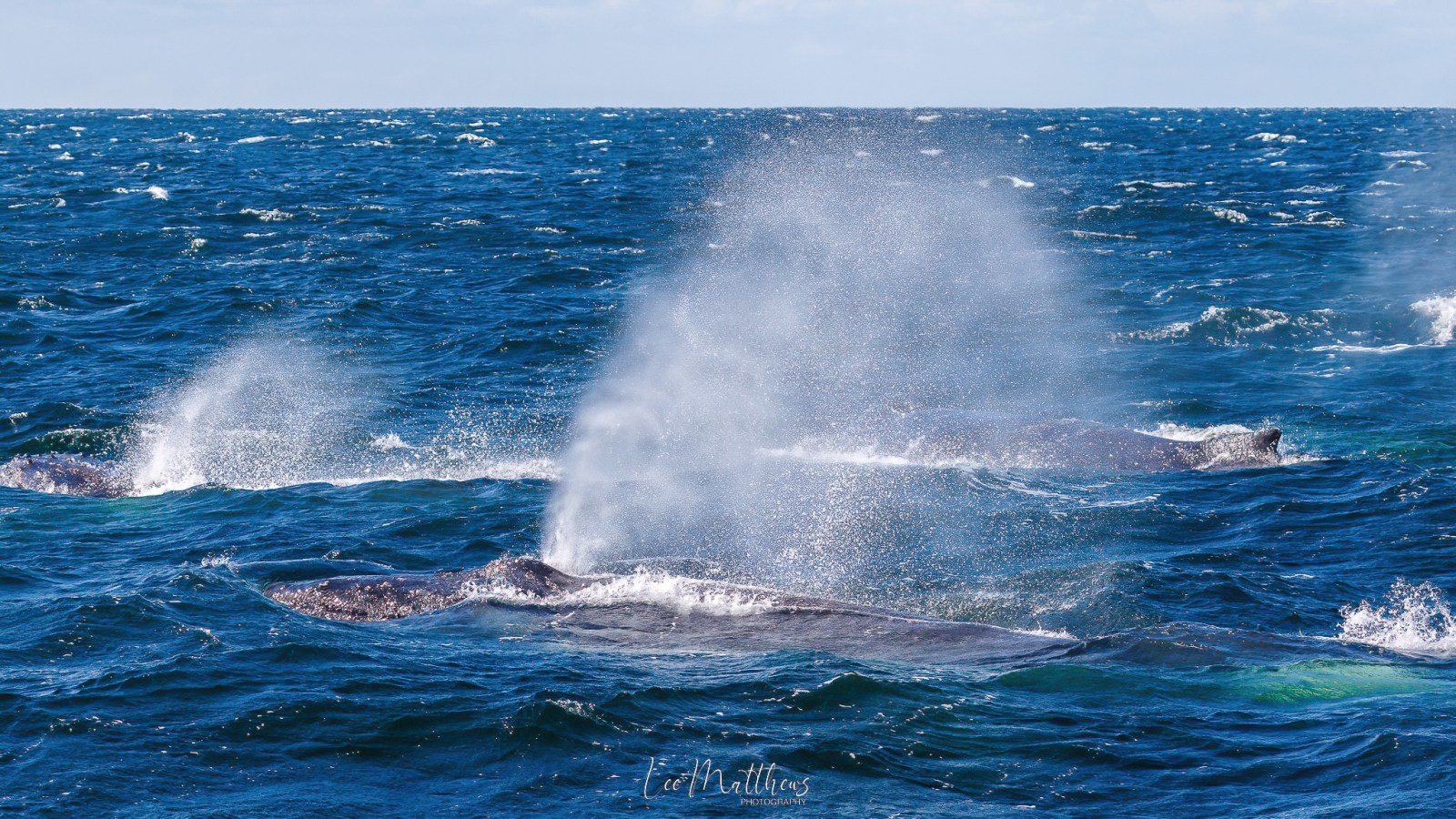 water next to the ocean