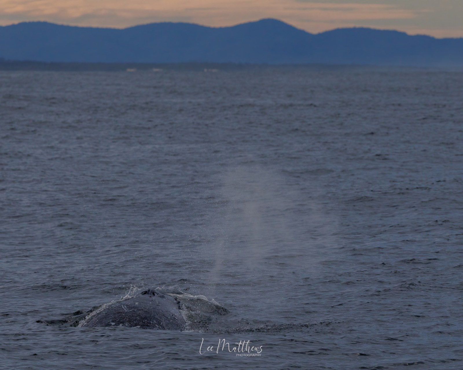 a body of water with a mountain in the ocean