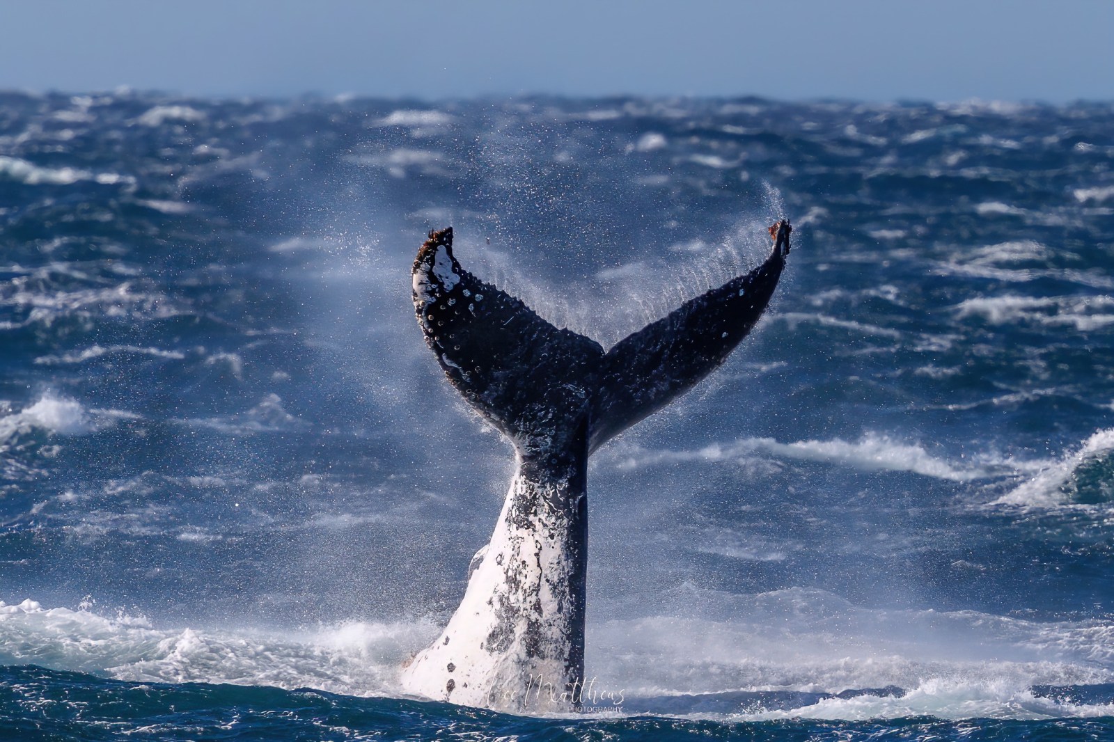 a man flying through the air while riding a wave in the ocean