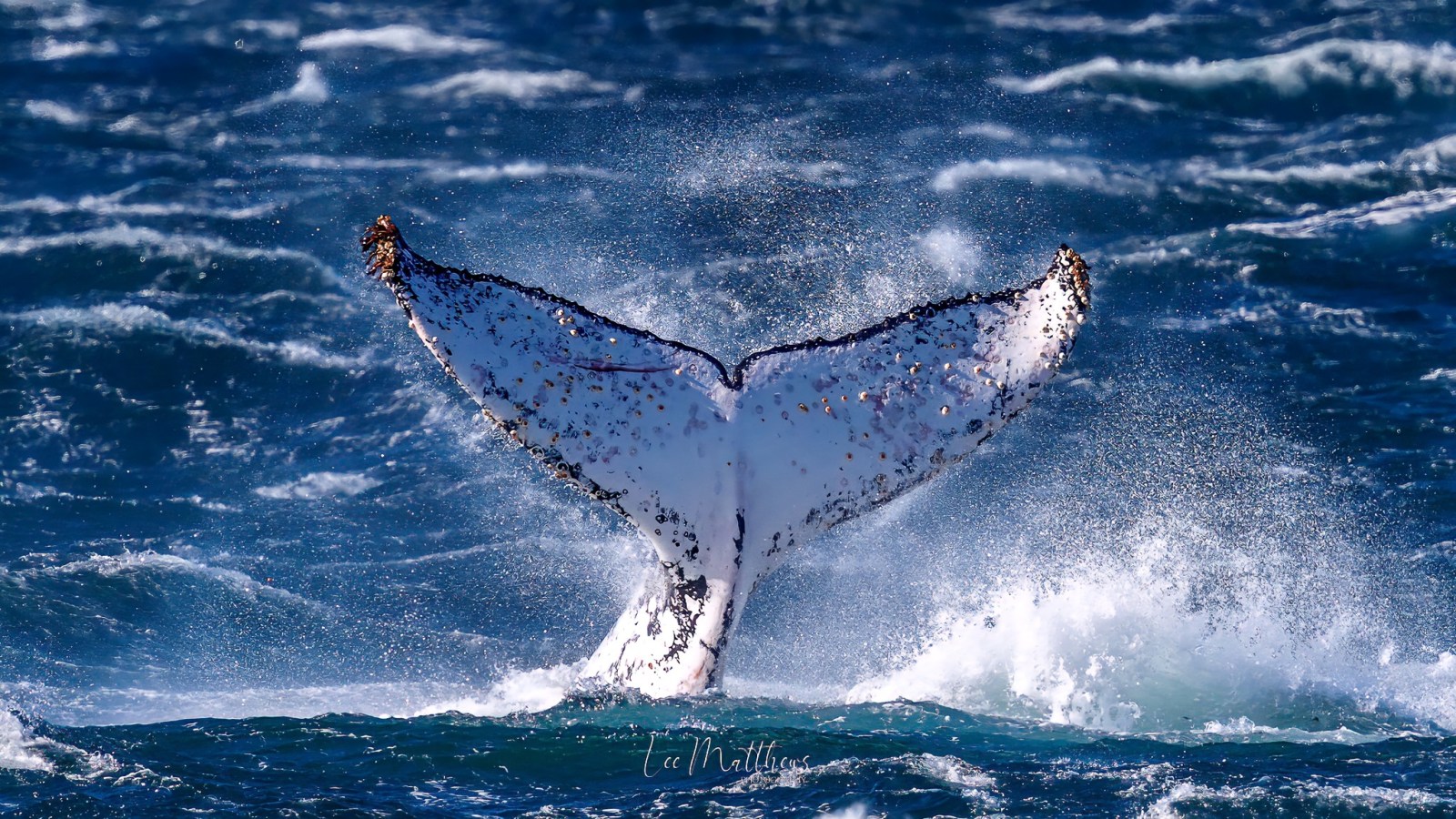 a man flying through the air while riding a wave