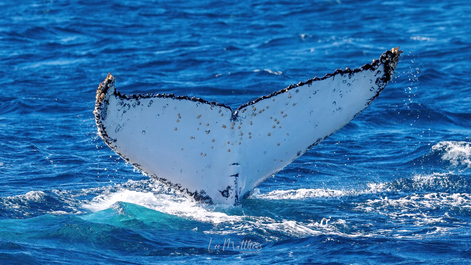a man riding a wave on a surfboard in the water