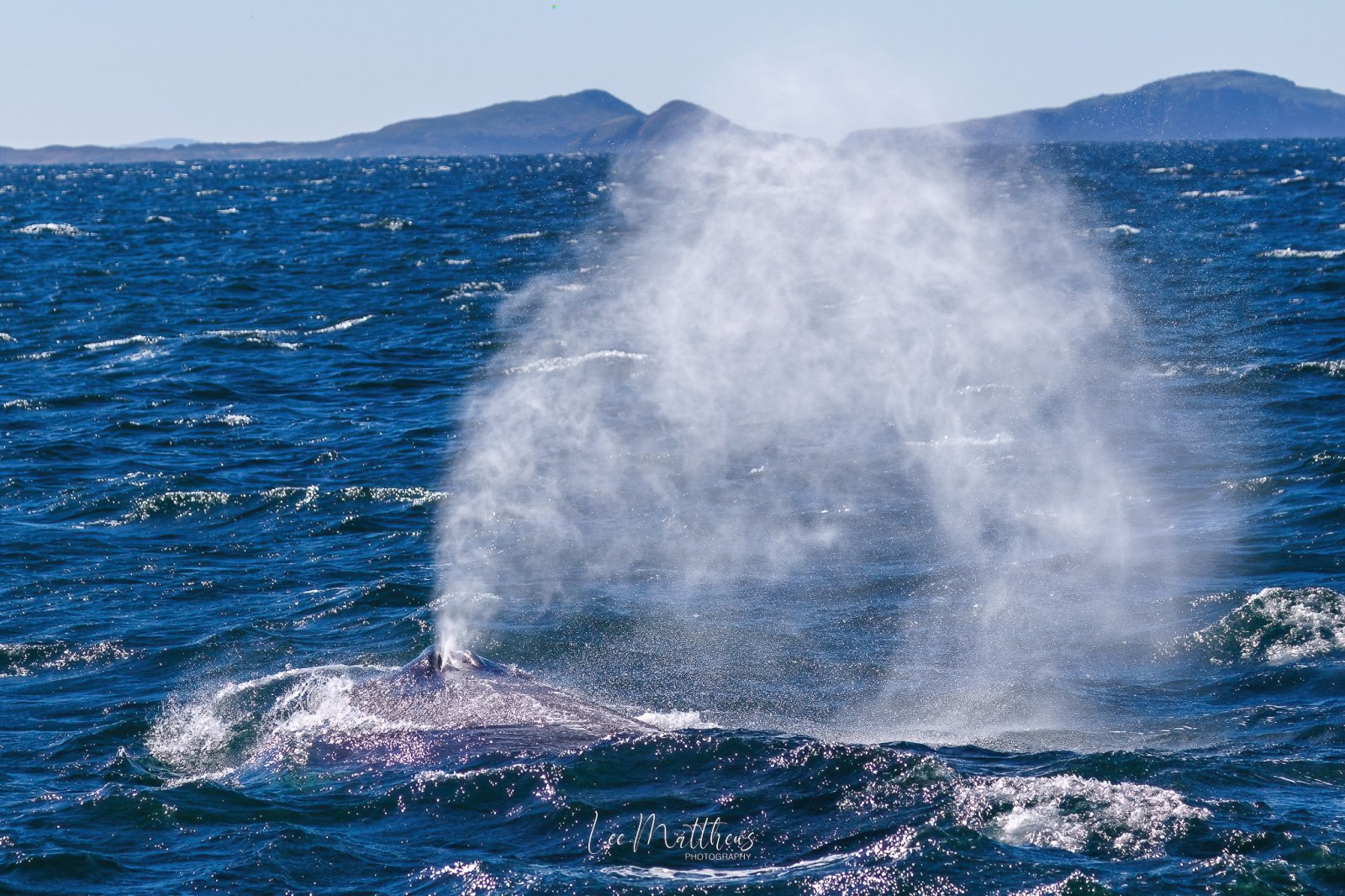 a person flying through the air while riding a wave in the ocean