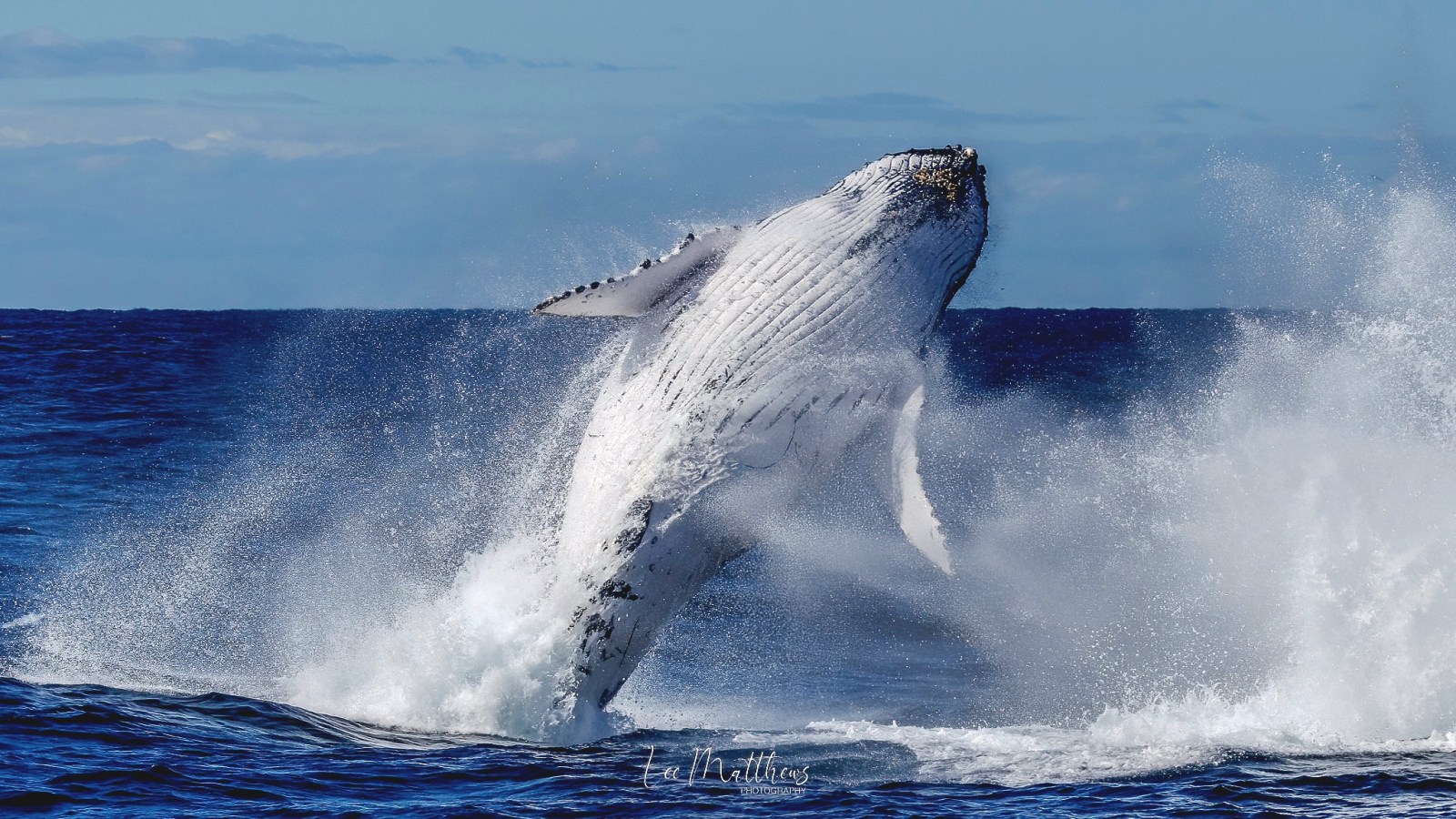 a man flying through the air while riding a wave