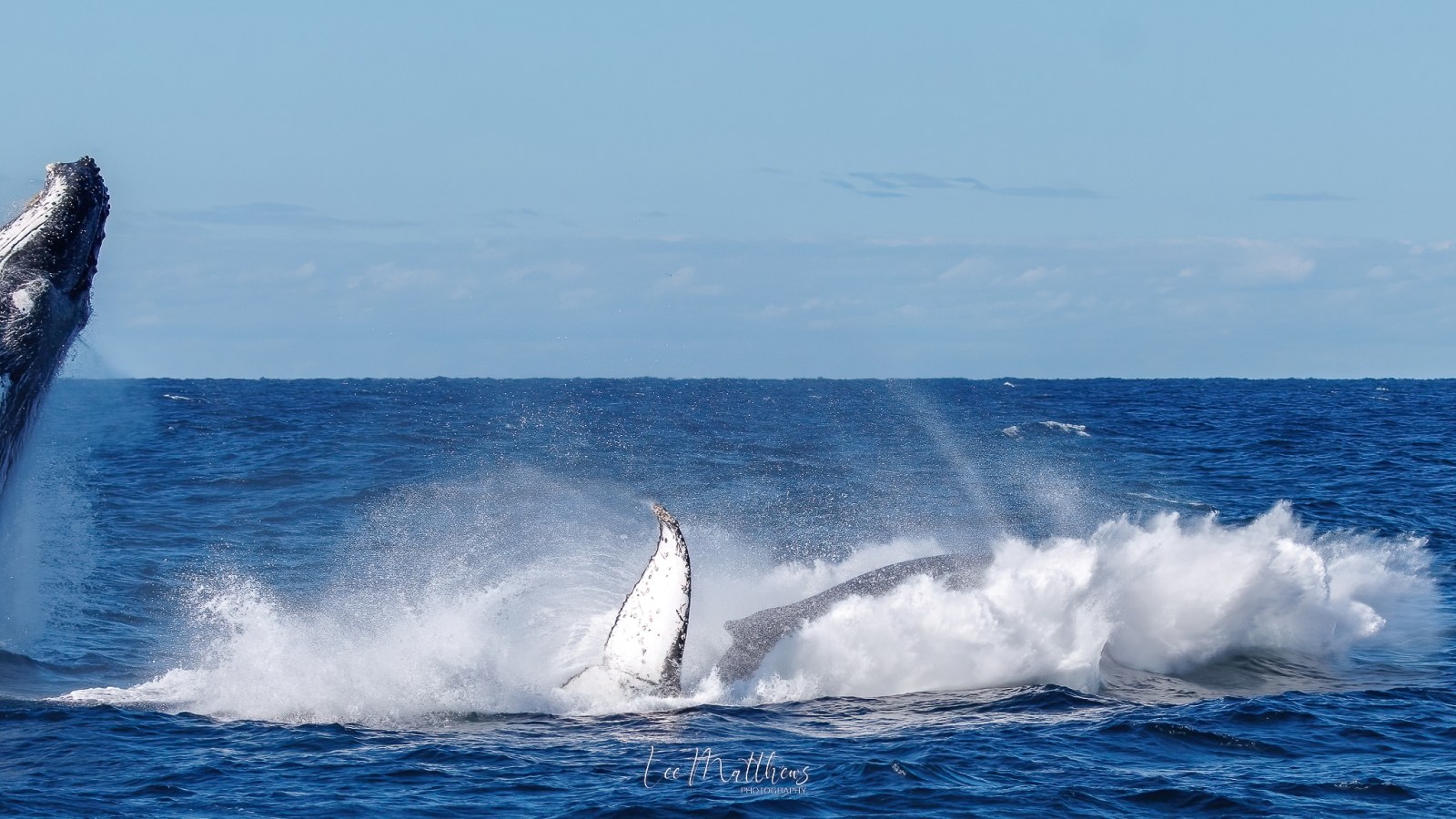 a man riding a wave on top of a body of water