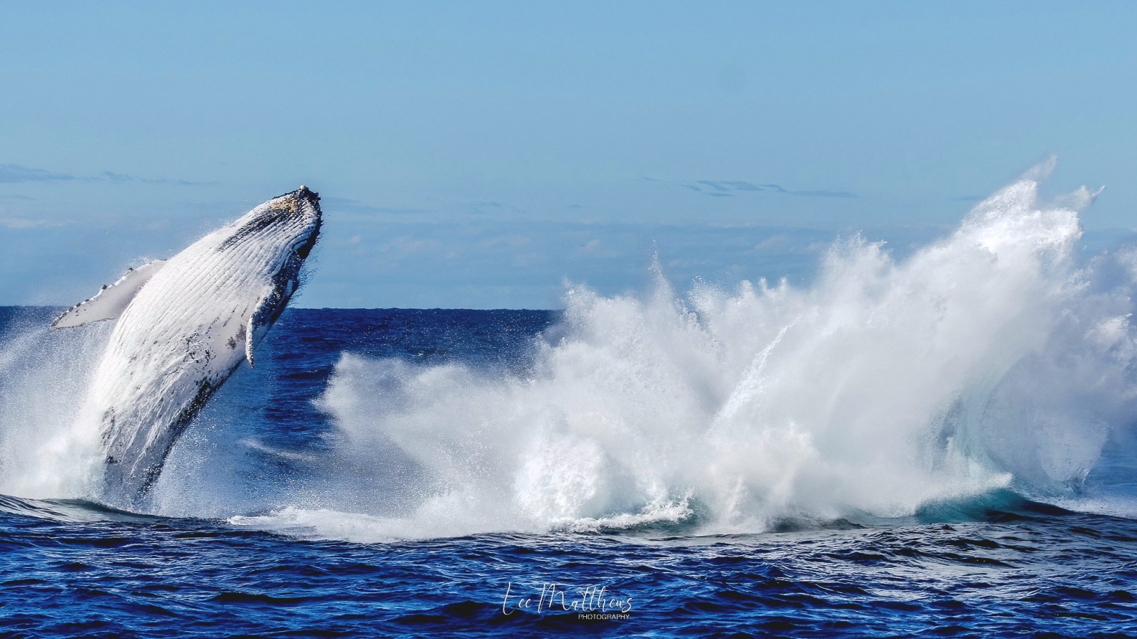 a man riding a wave on a surfboard in the water
