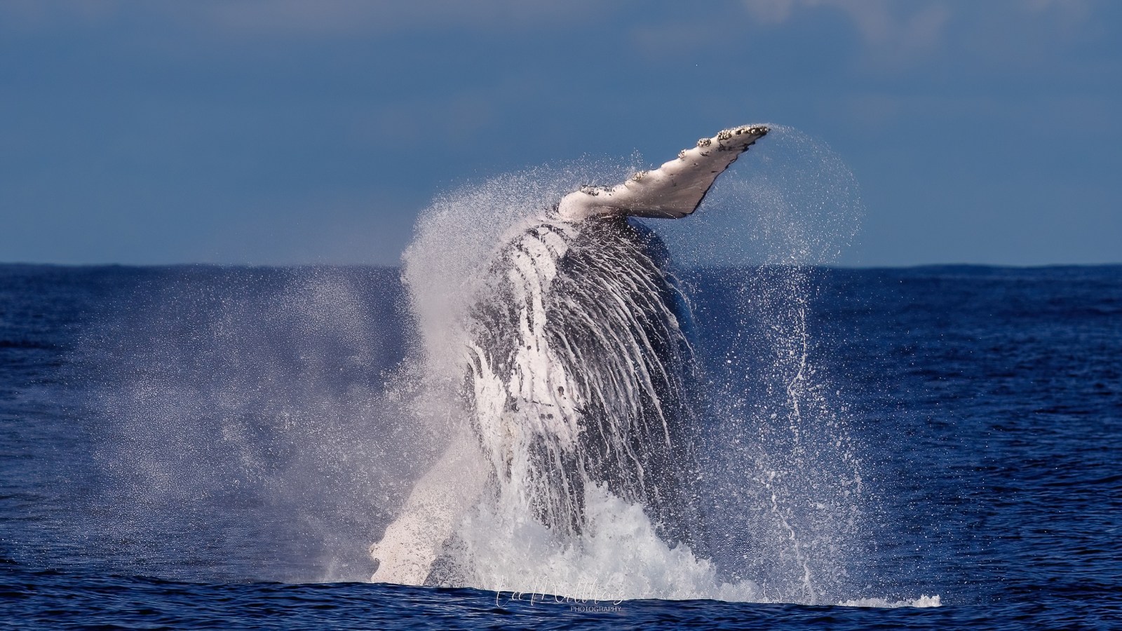 a man flying through the air while riding a wave in the ocean