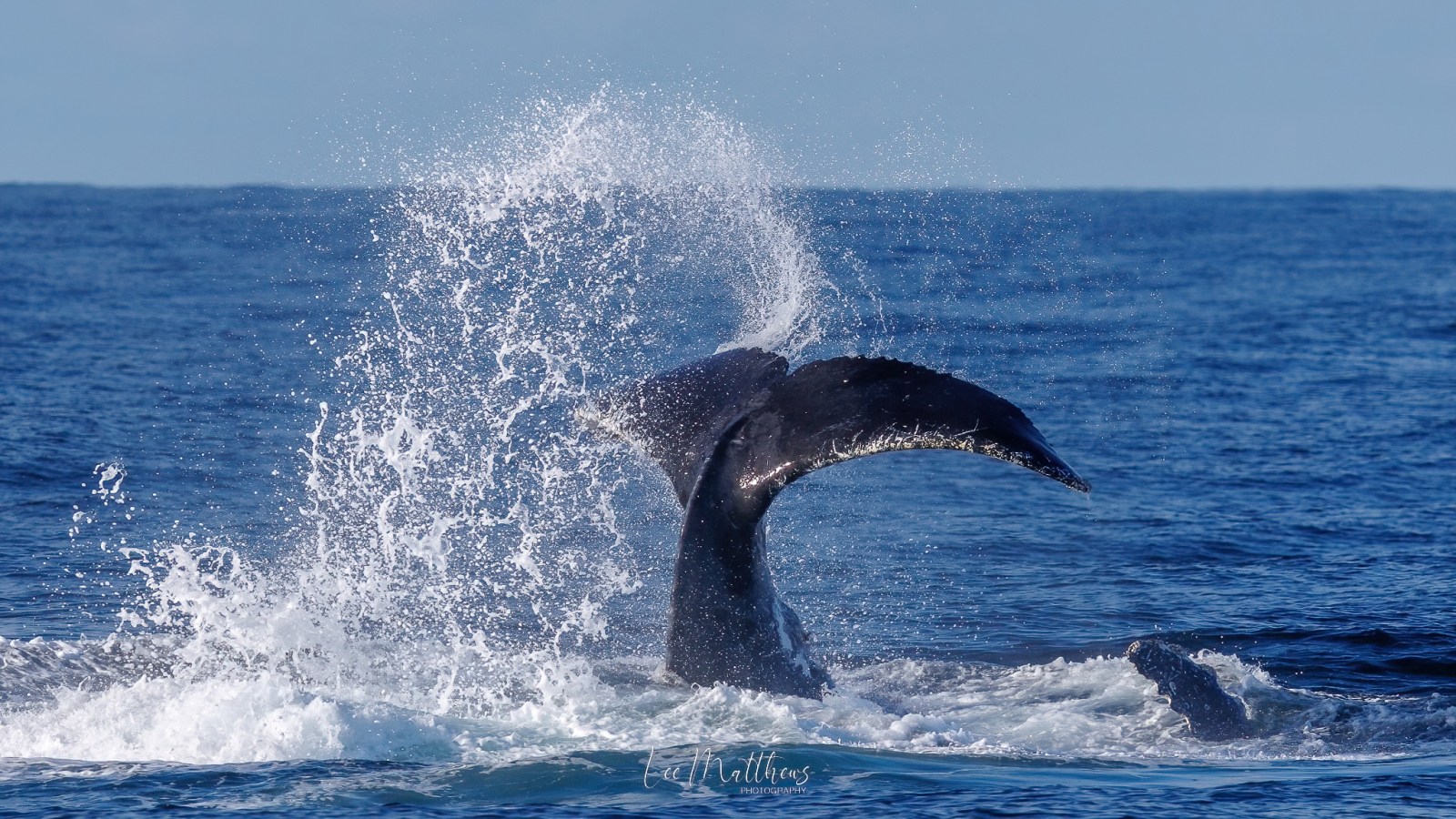 a man riding a wave on a surfboard in the water
