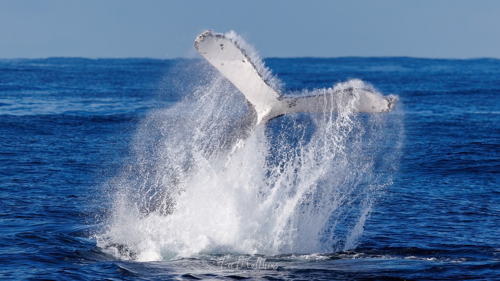 a man riding a wave in the ocean
