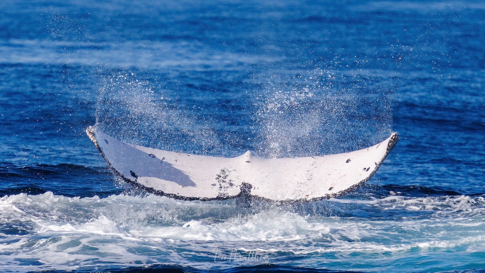 a man riding a wave on a surfboard in the water