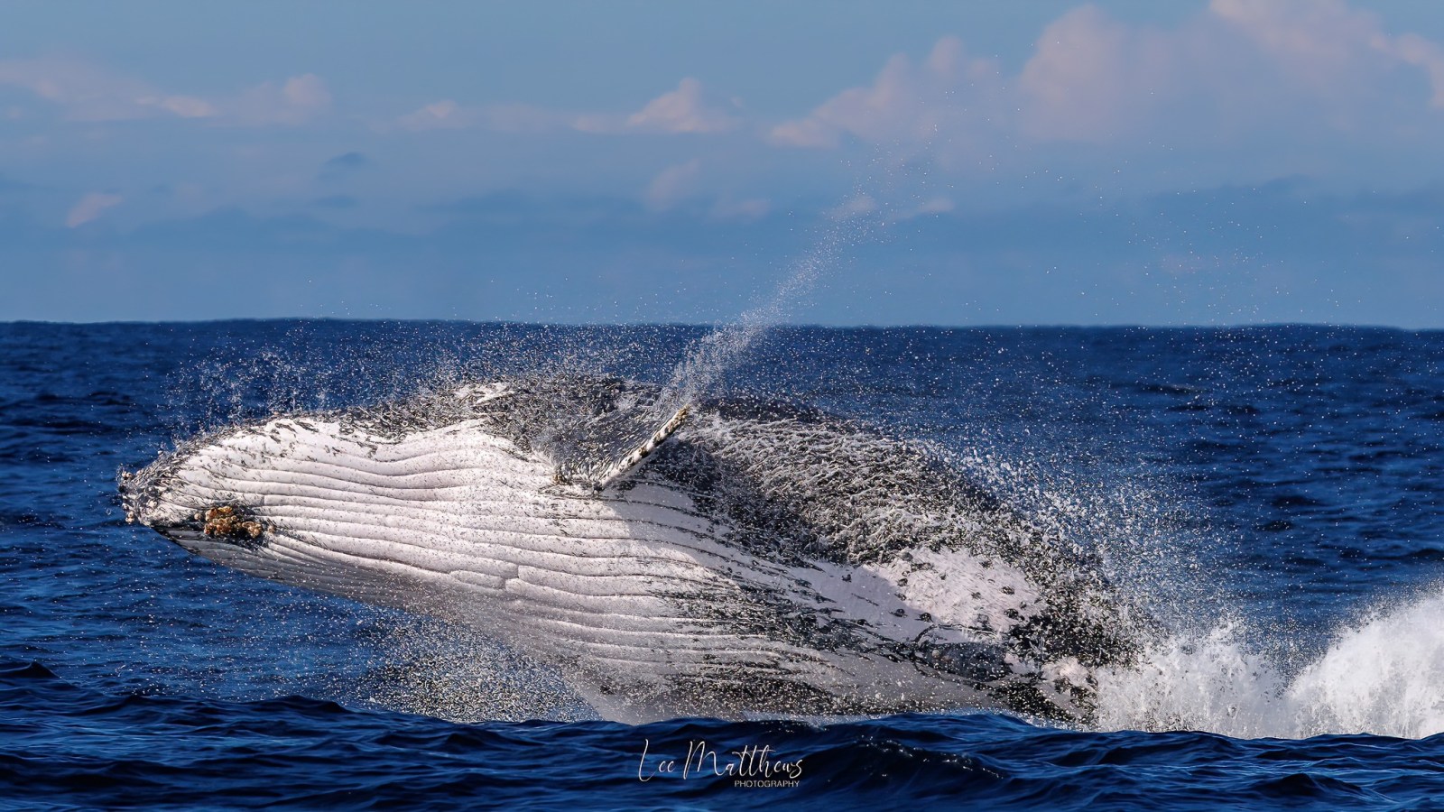 a body of water next to the ocean