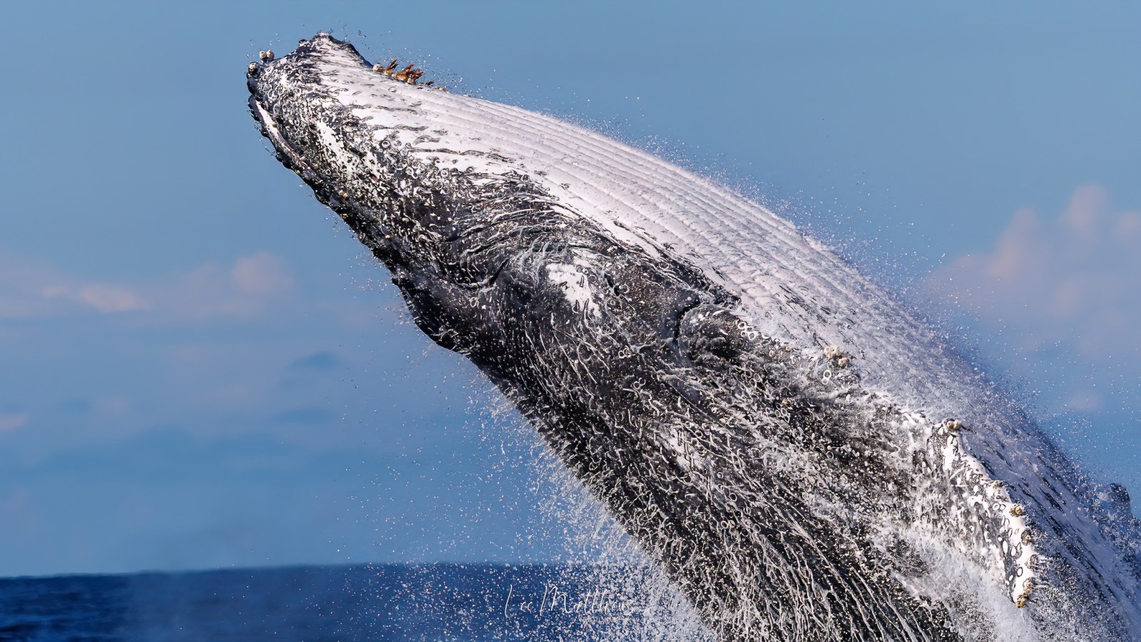 a man riding a wave on top of a mountain