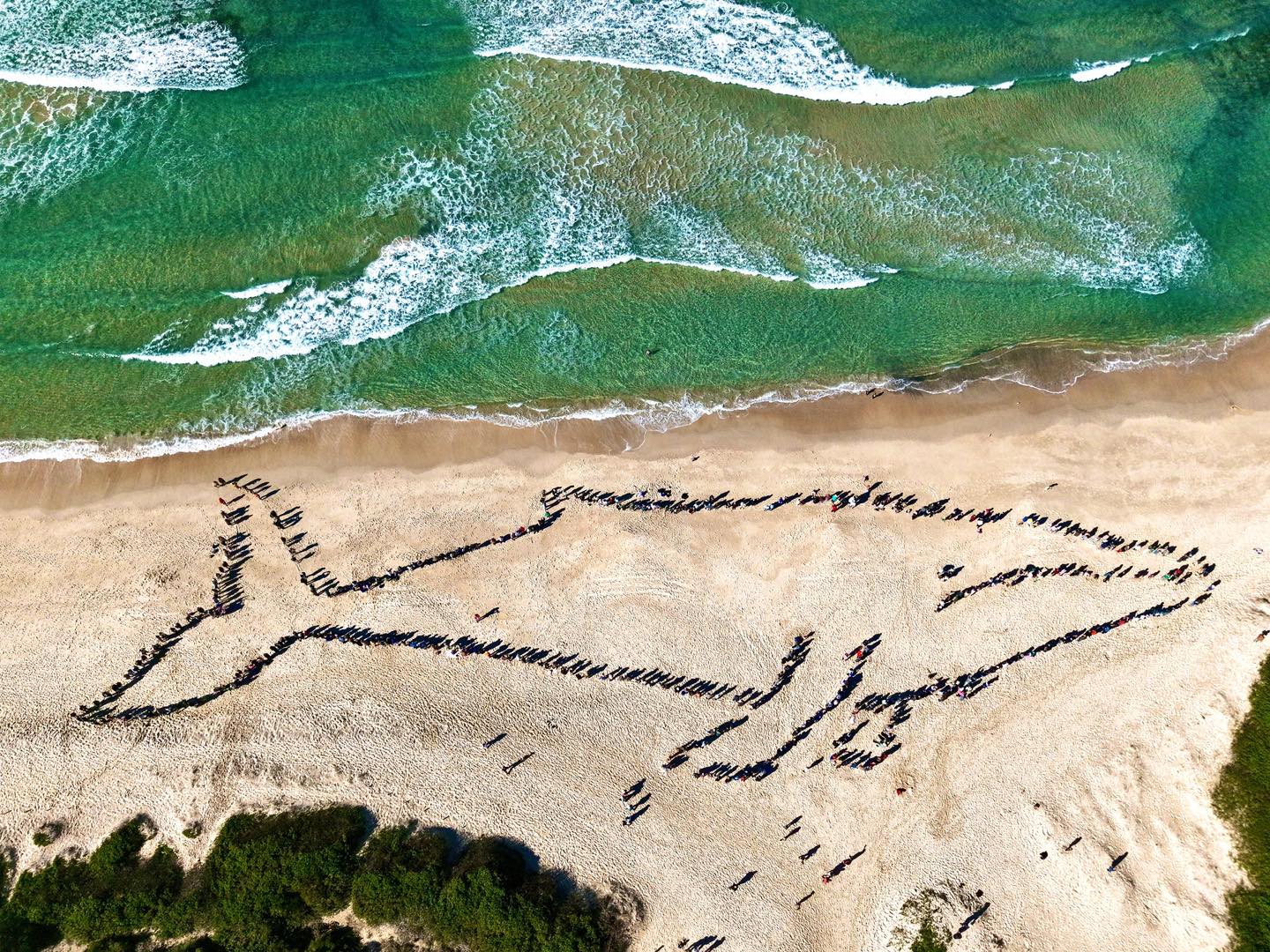 Whale Watching Moonshadow TQC Cruises Port Stephens Lee Matthews