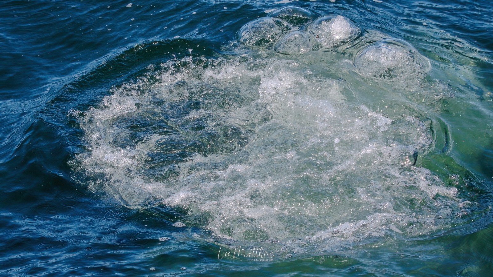 Bubbles and ripples on the surface of blue water, creating a circular pattern.