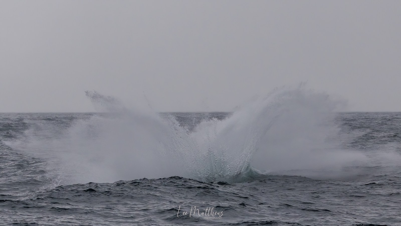 Large ocean wave crashing with a splash against gray sky.