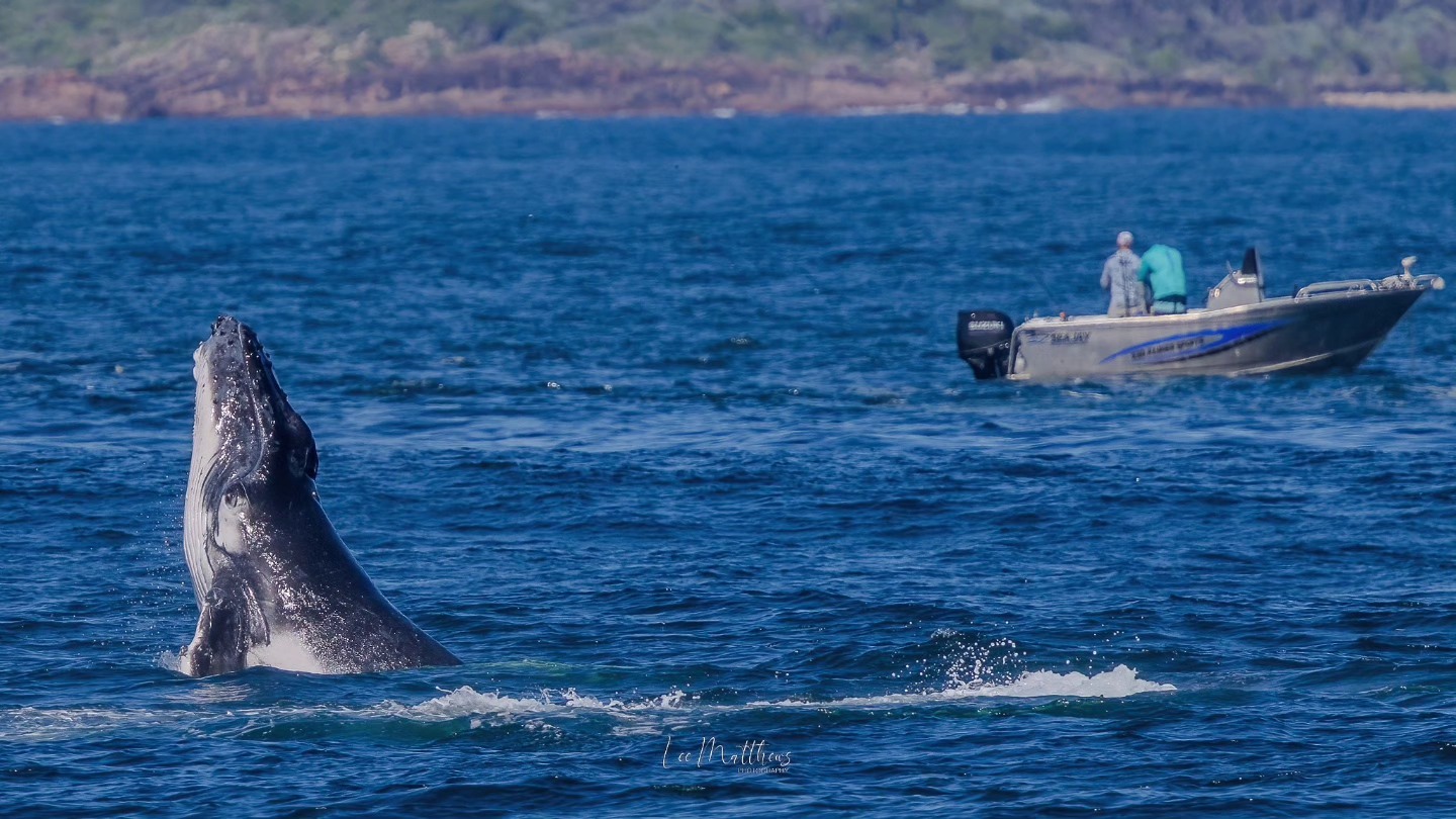 Whale breaching near a boat with two people in the ocean.