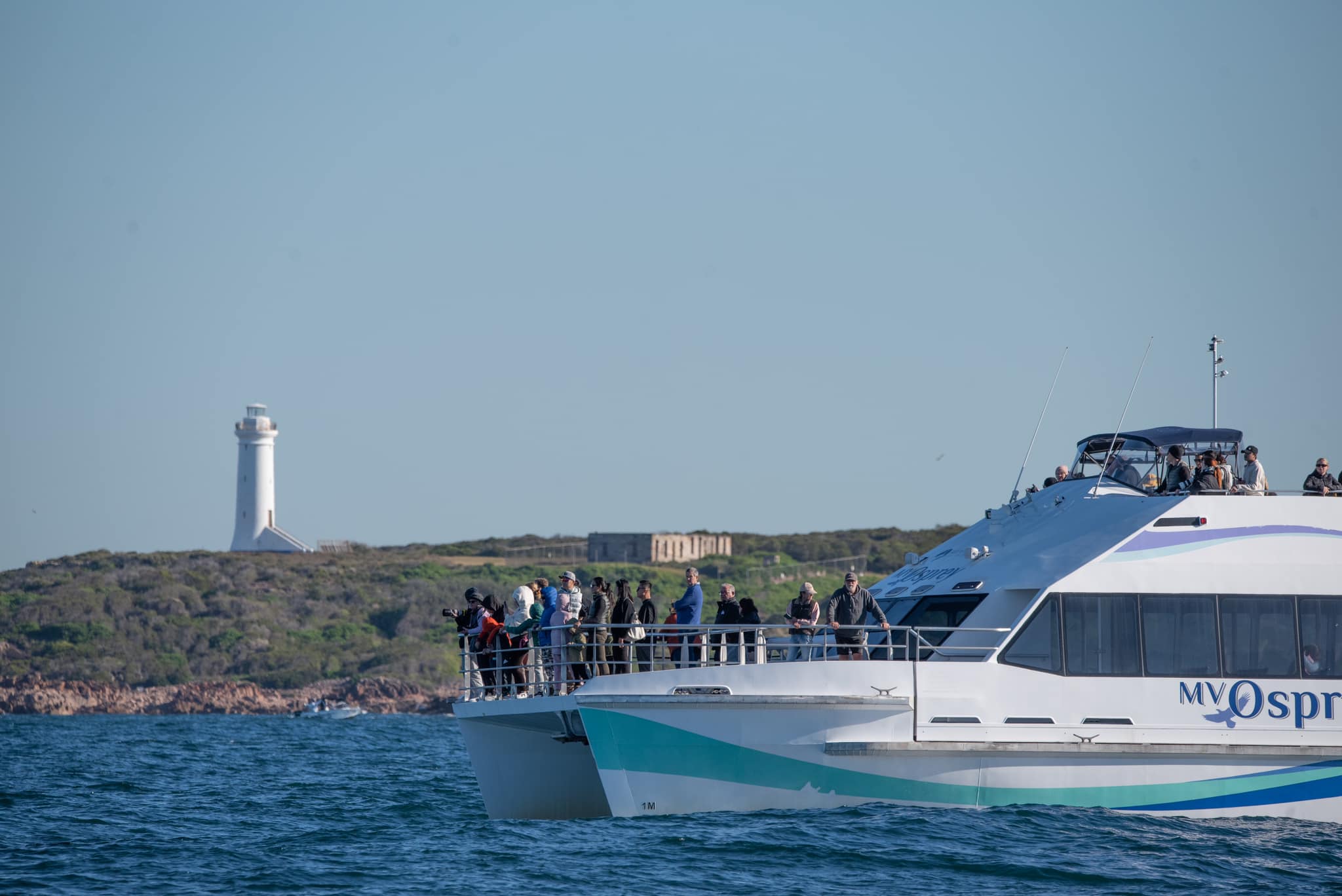 Whale Watching Moonshadow TQC Cruises Port Stephens Lee Matthews