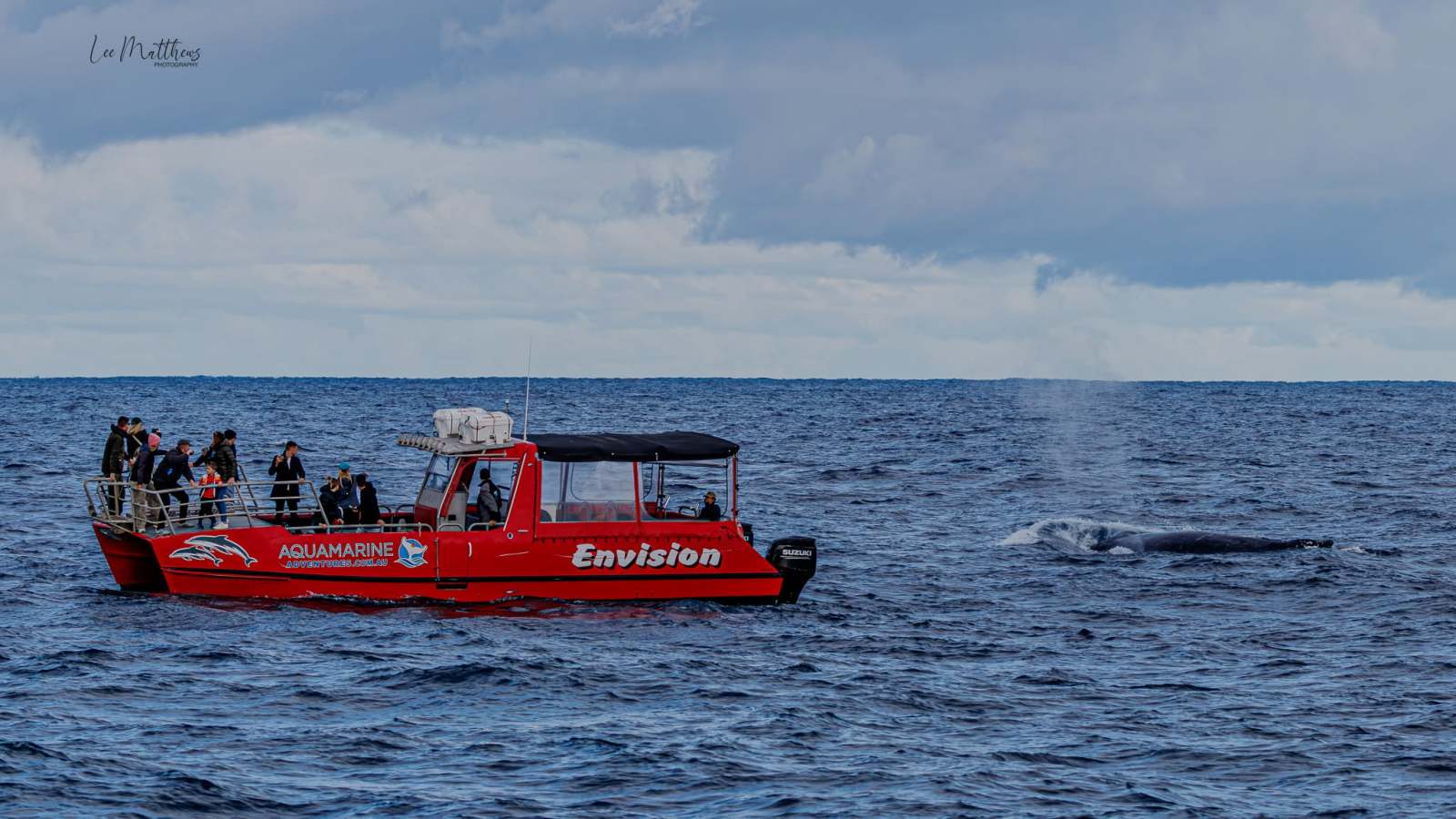 Red tour boat with people next to a whale in the ocean under cloudy sky.