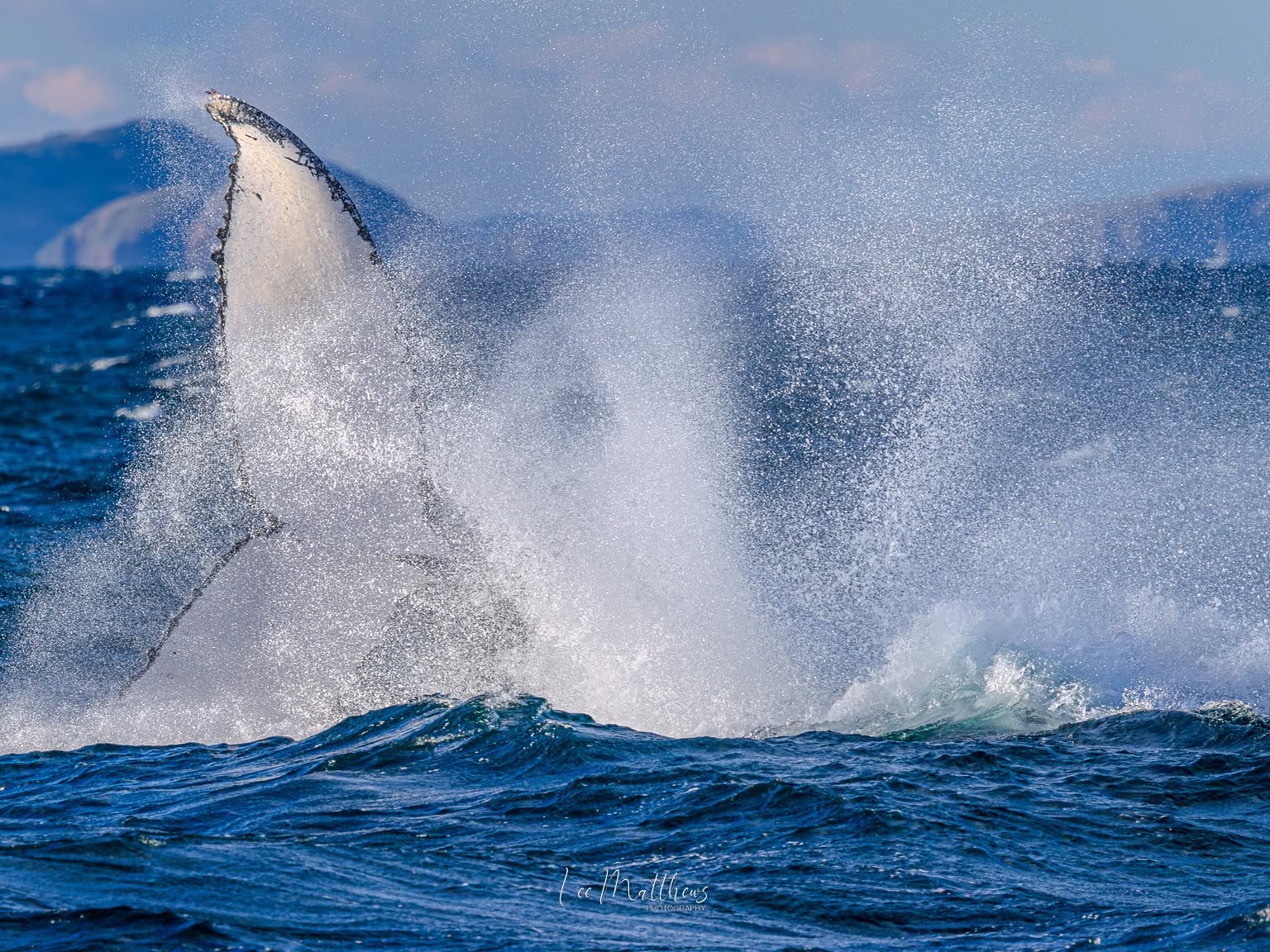 Whale tail splashes in ocean waves, creating a misty spray.