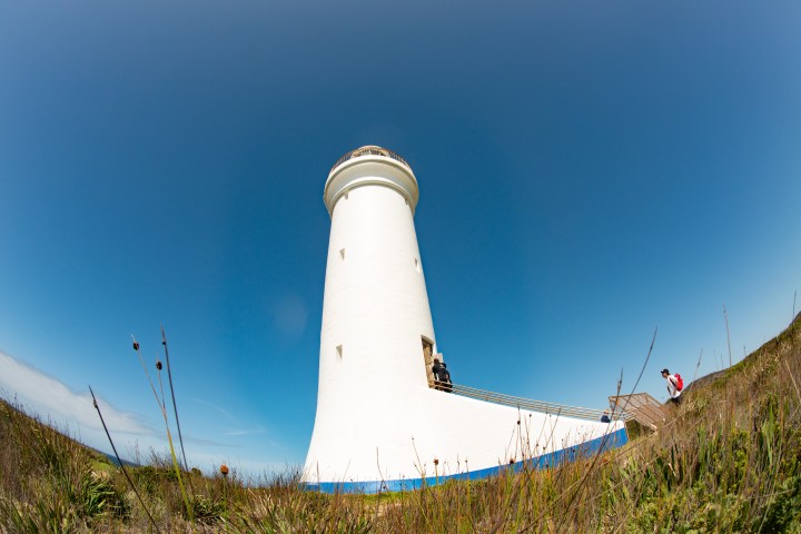 White lighthouse with a blue base on a clear day, viewed from below with plants in the foreground.