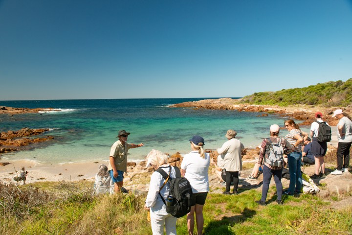 Group of people observing a scenic ocean view with clear skies.